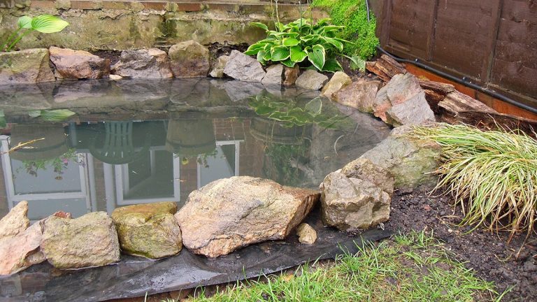 Clean up a natural lake