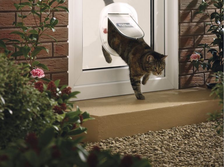 Installing a cat door