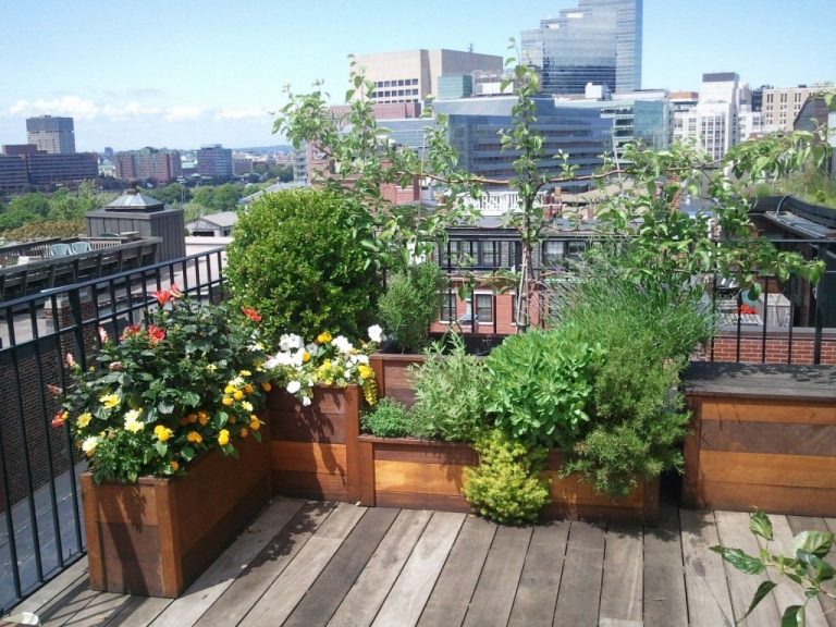 Create a terrace on a flat roof