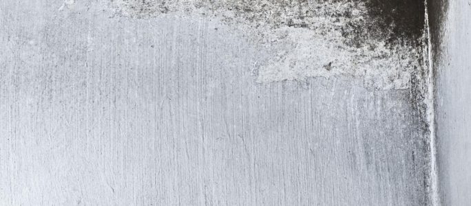 Damp on the walls
