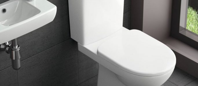 Removing scale from the cistern