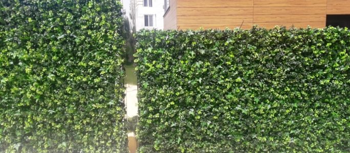 Green wall